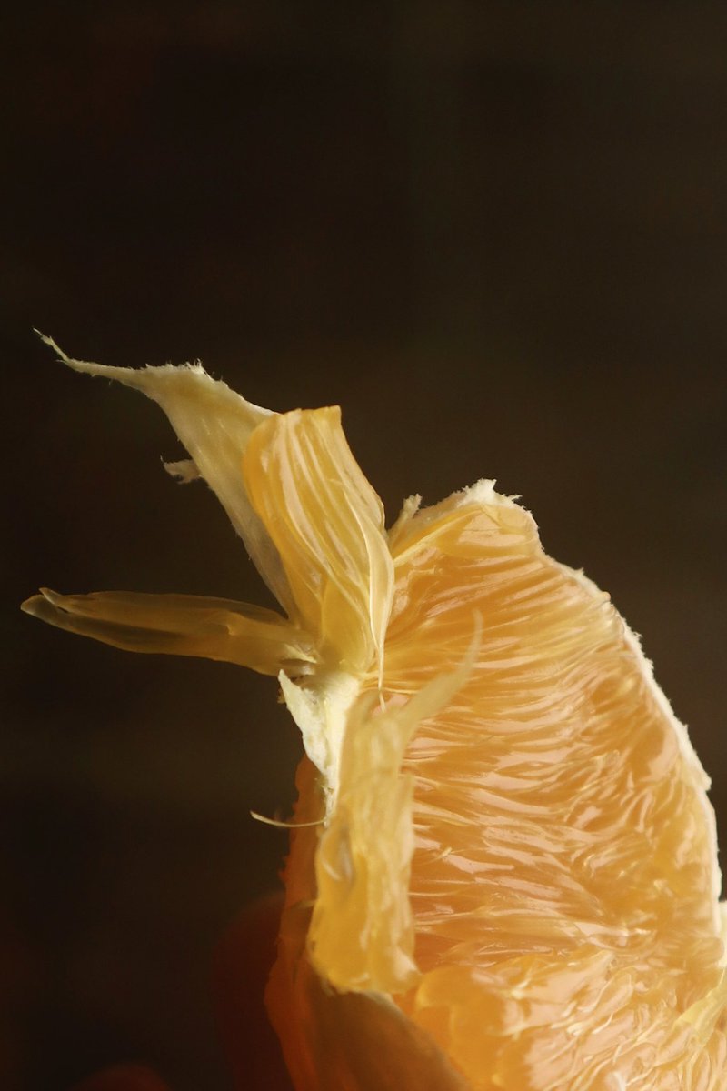 Emely Timm tweet media