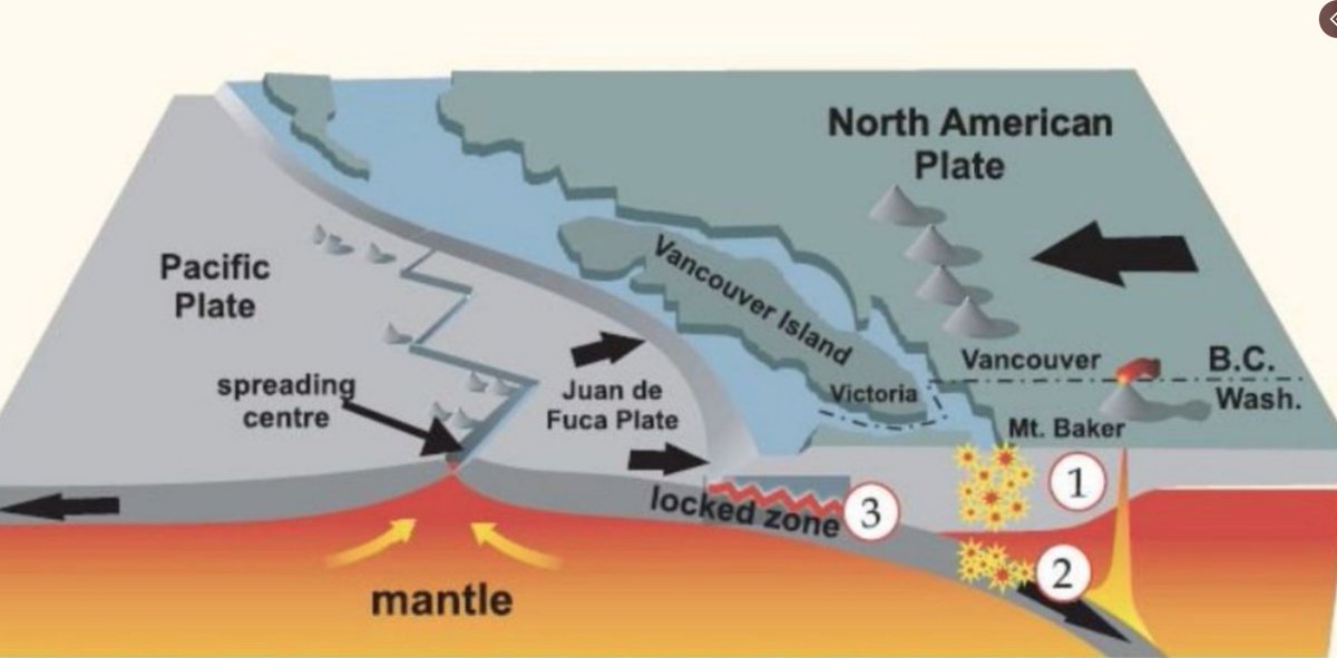 John Cassidy (@earthquakeguy) on Twitter photo 325 years ago tonight (9 p.m. Jan. 26, 1700) a M~9 Cascadia subduction earthquake rocked the west coast from #VancouverIsland to northern #California. The Juan de Fuca Plate slipped as much as 20 m, causing a large tsunami, strong shaking and landslides.
earthquakescanada.nrcan.gc.ca/historic-histo… 325 years ago tonight (9 p.m. Jan. 26, 1700) a M~9 Cascadia subduction earthquake rocked the west coast from #VancouverIsland to northern #California. The Juan de Fuca Plate slipped as much as 20 m, causing a large tsunami, strong shaking and landslides.
earthquakescanada.nrcan.gc.ca/historic-histo…