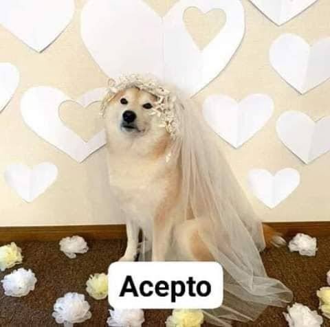 aleeeon19's tweet photo. @Fer_Quirozp https://t.co/3aXqpWUJqR