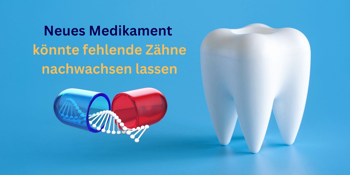GHeilung's tweet photo. Forschende des Osaka MR Institute arbeiten an einem innovativen #Medikament, das das Nachwachsen fehlender #Zähne ermöglichen könnte. Dieses derzeit getestete Medikament könnte die unter dem #Zahnfleisch verborgenen und meist inaktiven dritten Zahnk...
https://t.co/9SZRJHgKcB https://t.co/liqdie61pi