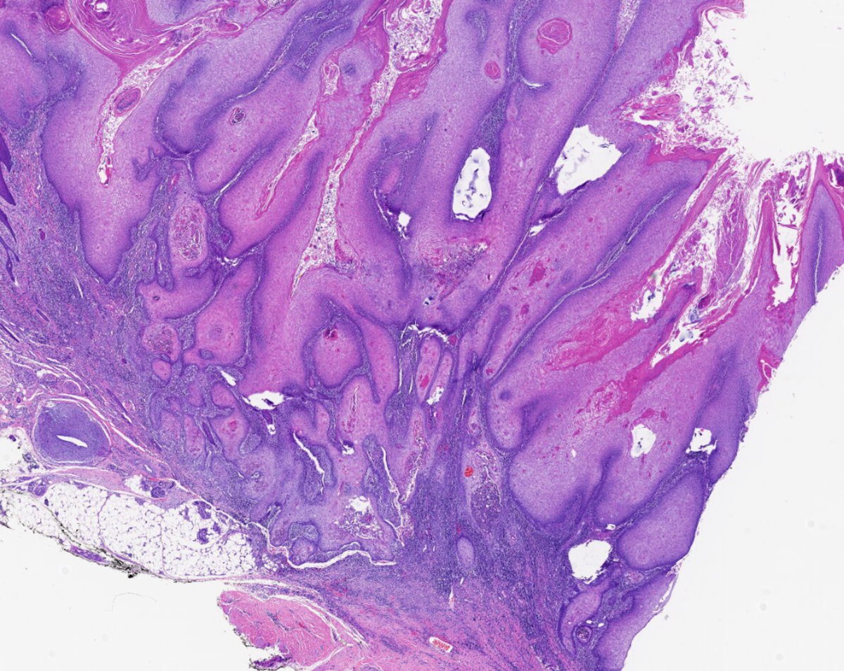 Henry YANG tweet media