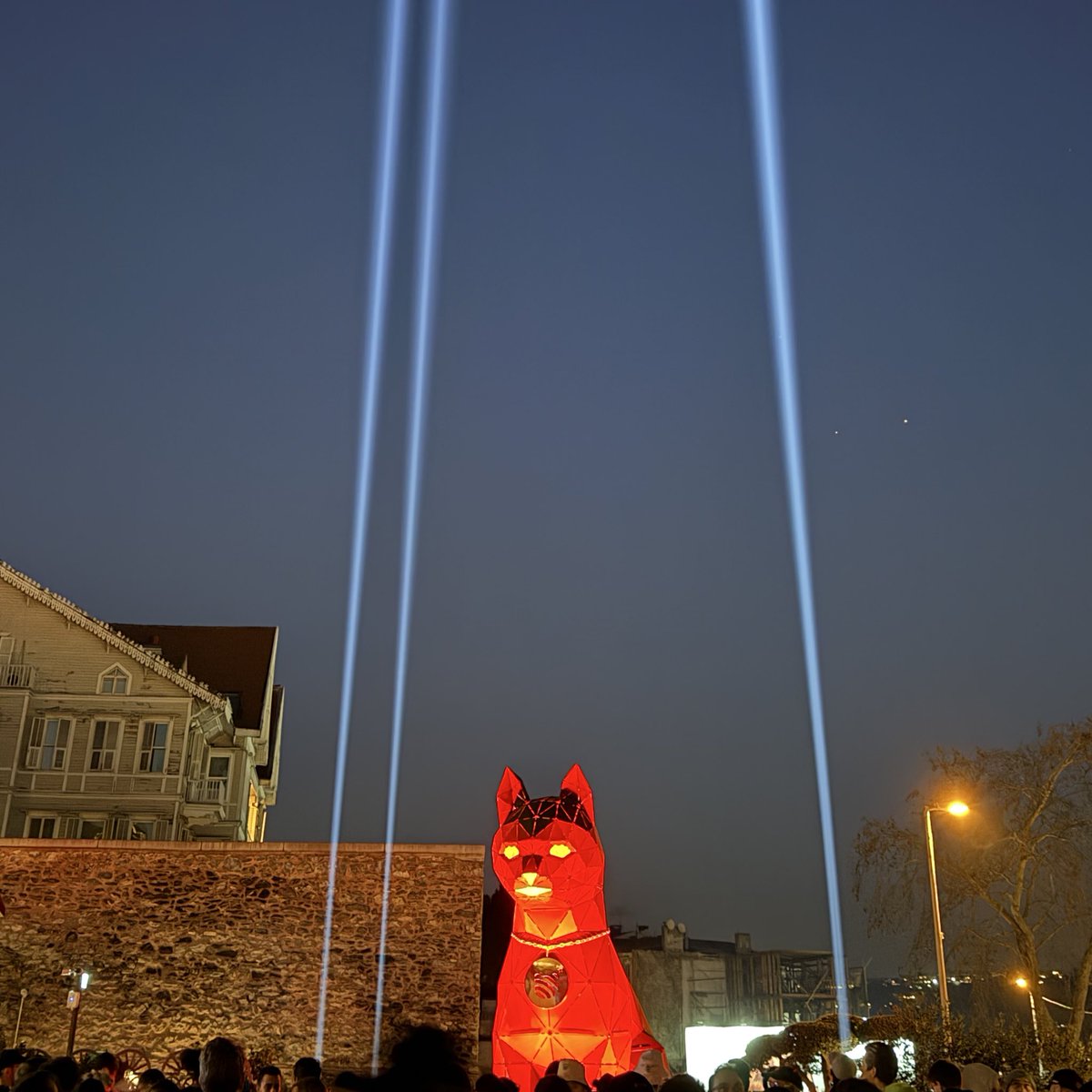 🔥 CATSTANBUL 🔥