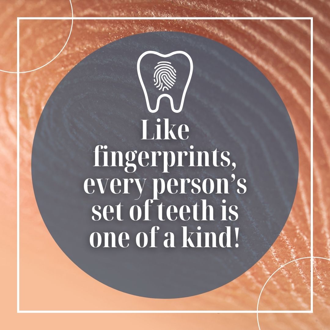 DrLavrisa's tweet photo. Just like fingerprints, your teeth are completely unique to you! No two people in the world have the same set of teeth—not even identical twins. Your teeth tell a story that’s entirely your own, shaped by genetics, habits, and care over time. #FunFact #fingerprints #UniqueTeet... https://t.co/89joWqzvni