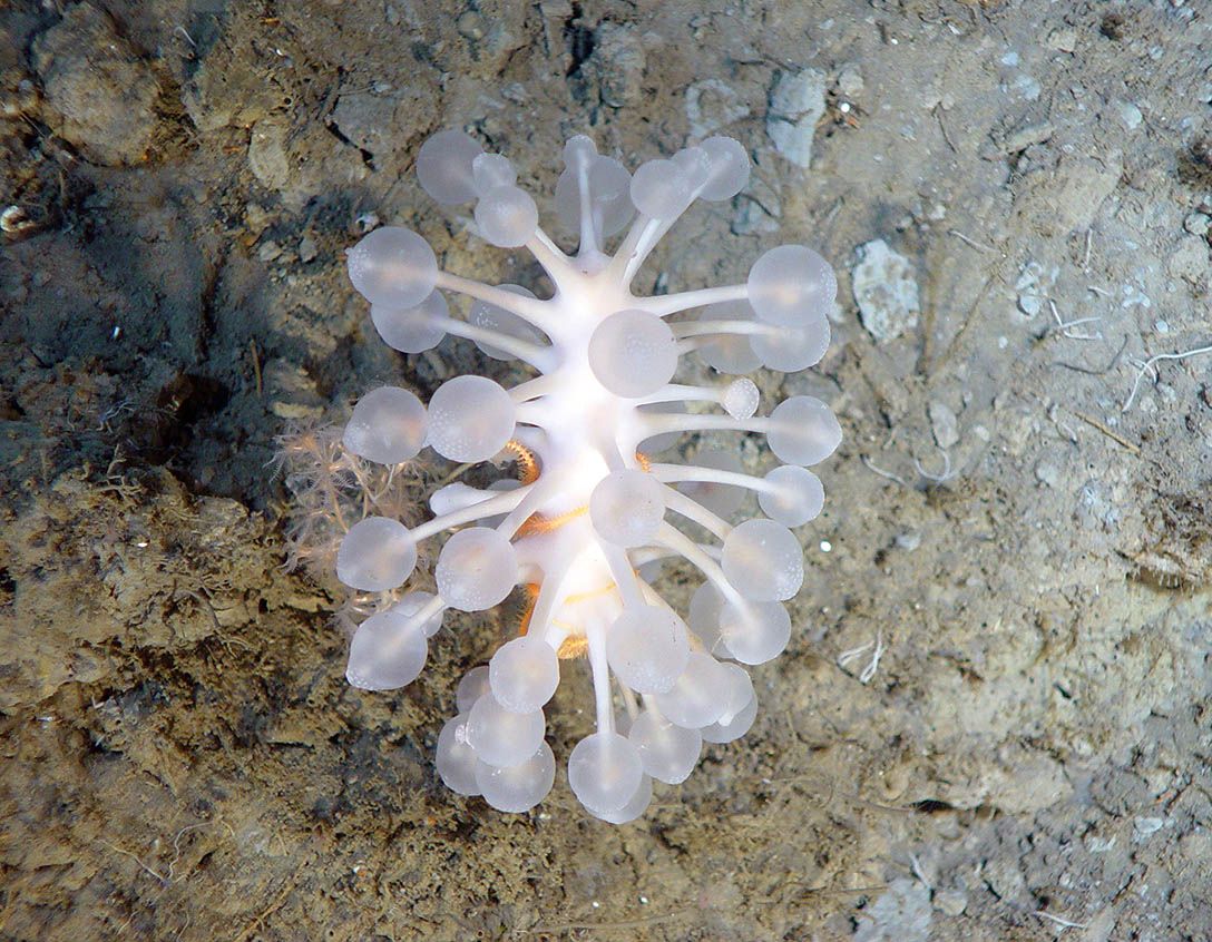 Fisheries and Oceans tweet media