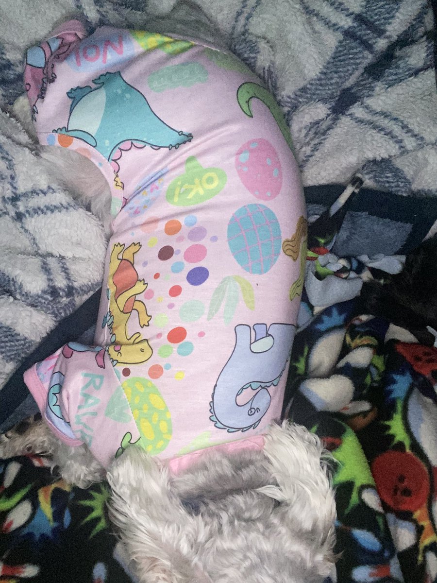 Eclipse and Luna’s pajama time