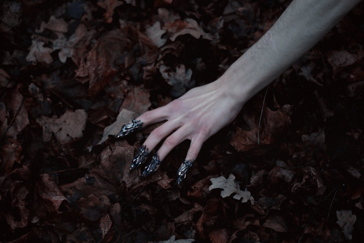 Forest Beast...
December 2019