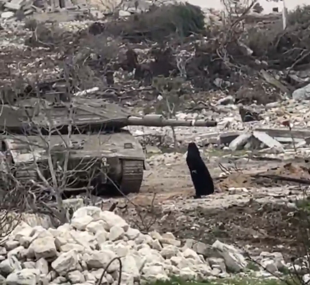 asad abukhalil أسعد أبو خليل tweet media