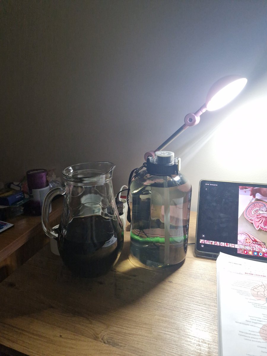 Benim setup böyle neyi var ki?