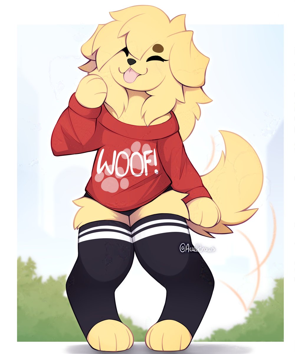 a fluffy golden pubby! 🐶