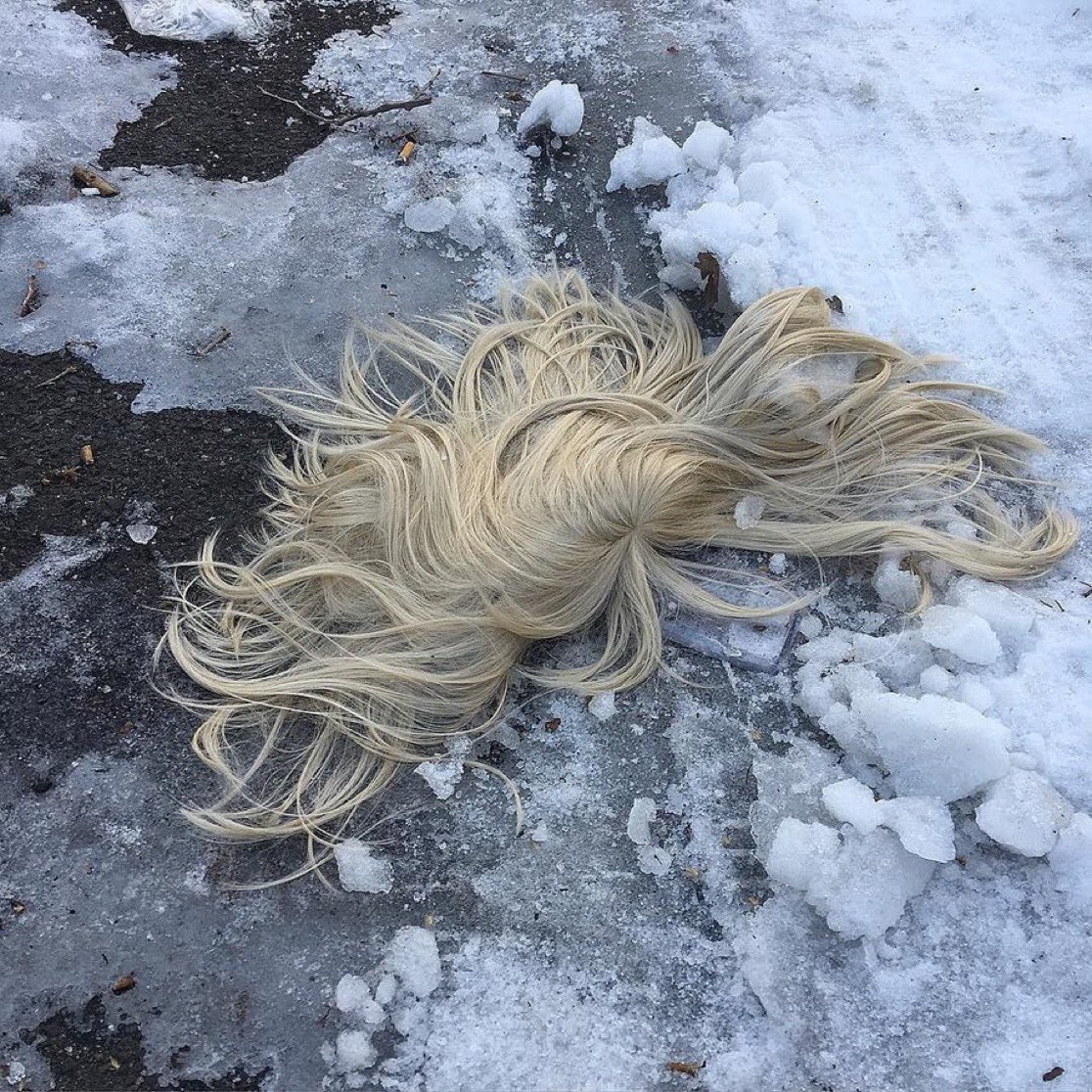 tbslnley's tweet photo. they got him :( https://t.co/Q8uxewmBh0