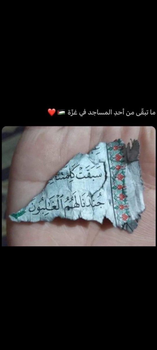 Ahmed Kotb (@ahmedko79072506) on Twitter photo 