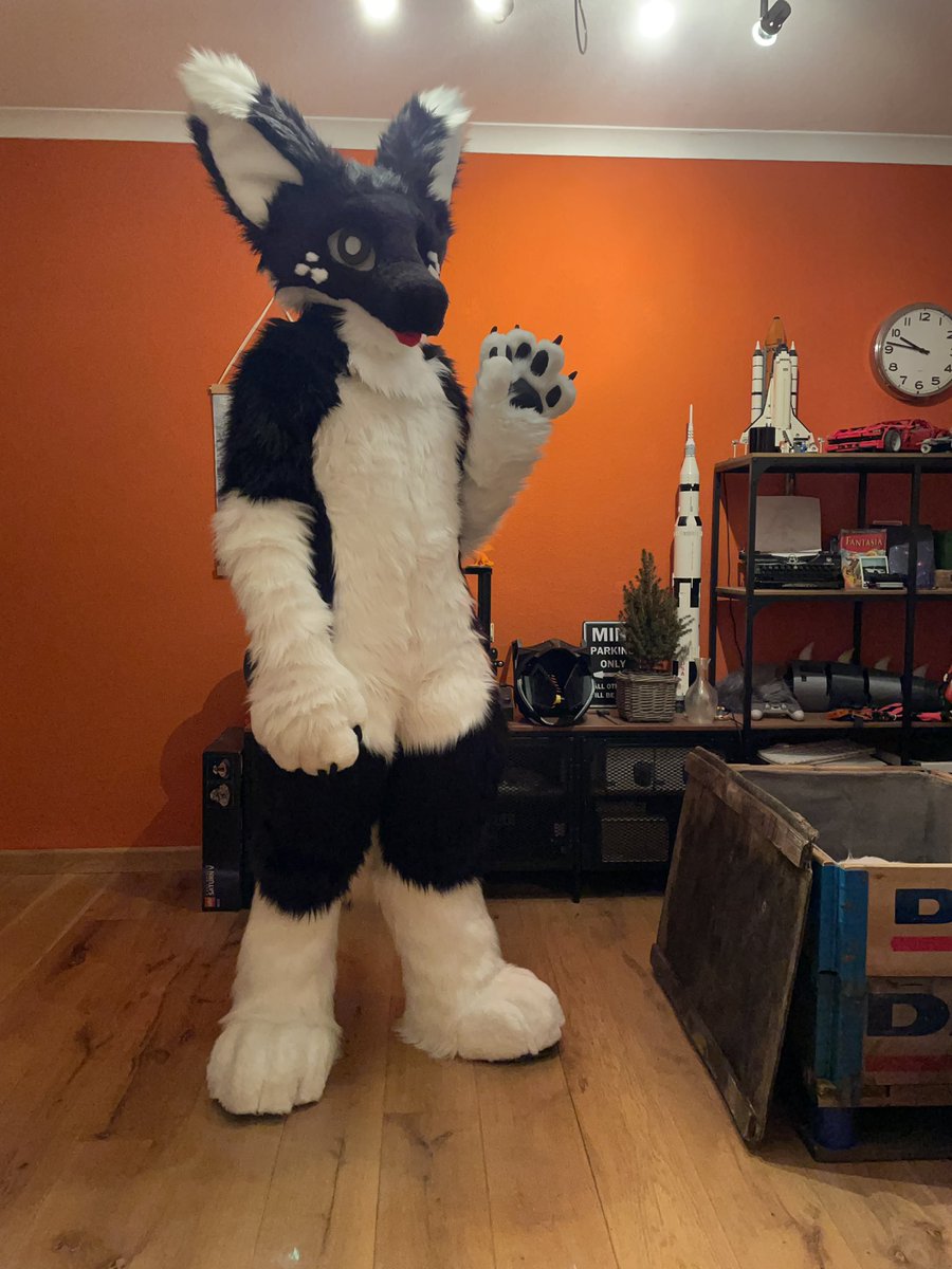 Feronium tweet media