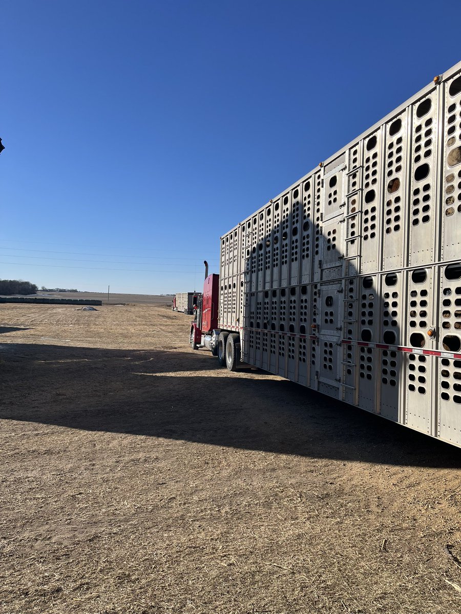 Amanda Bauer tweet media