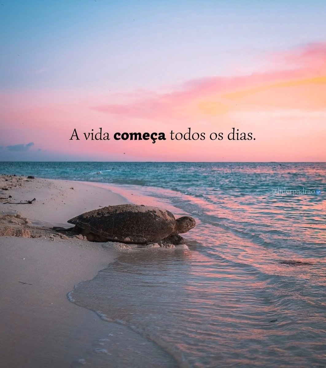 𝑱𝒐𝒗𝒆𝒎_𝑪𝒓𝒊𝒔𝒕𝒂𝒐 🇧🇷 (@jesus__saved_us) on Twitter photo 