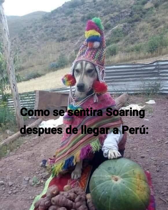 DubossThe's tweet photo. Sorraring x Perú 💛

#Soaring https://t.co/nLyclDRP7J