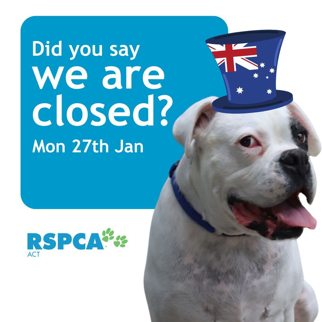 RSPCA ACT tweet media