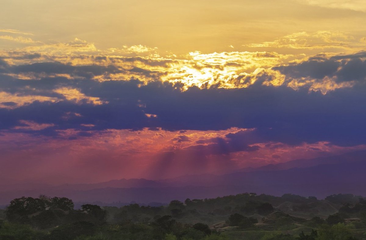 Colombia Maps 🇨🇴 tweet media