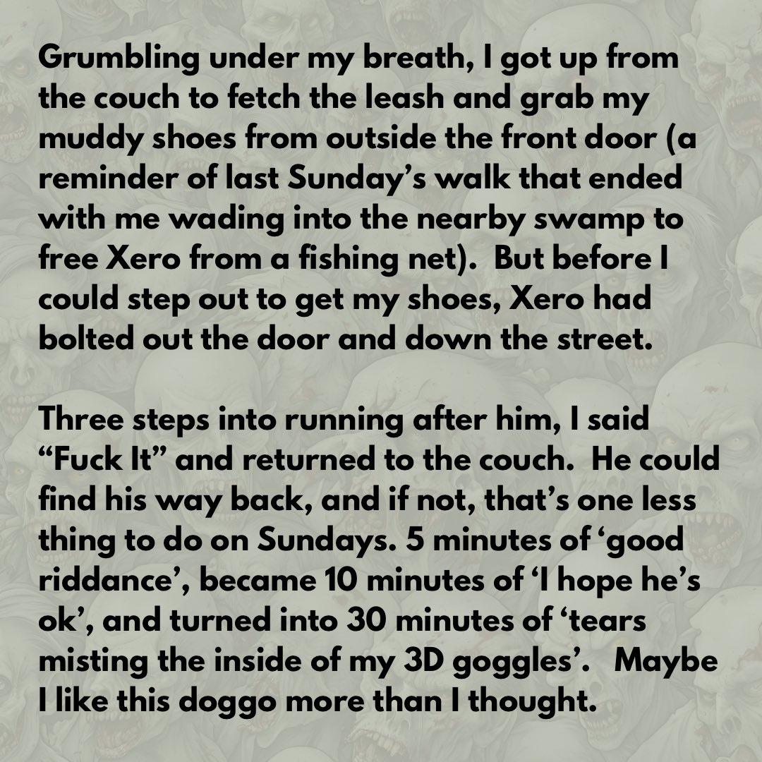 HankTenn & Xero🤙🏼 tweet media