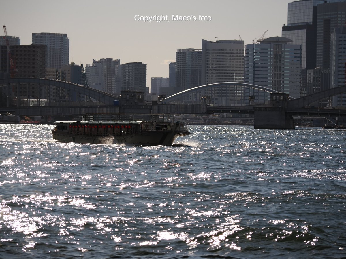 maco_ohyama's tweet photo. #sumida_river https://t.co/Nkbu64QYBT
