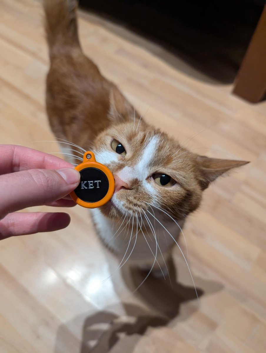 chefgoose's tweet photo. decided to rename my orange cat to KET

i'm sure he'll get used to it https://t.co/v79PGdaww3