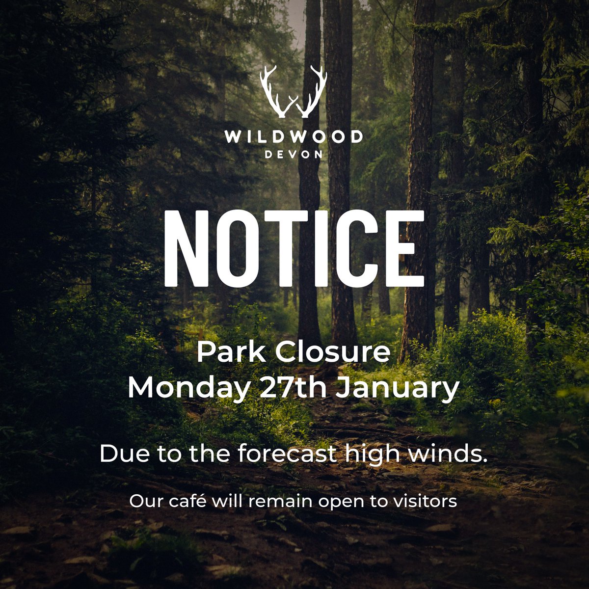 Weather update for Monday 🌬️

Due to the forecast of further high winds, Wildwood Devon will remain closed on Monday, 27th January. However, our café will stay open for visitors seeking a warm drink and a cozy spot to relax ☕️

We apologise for any disruption to your plans and