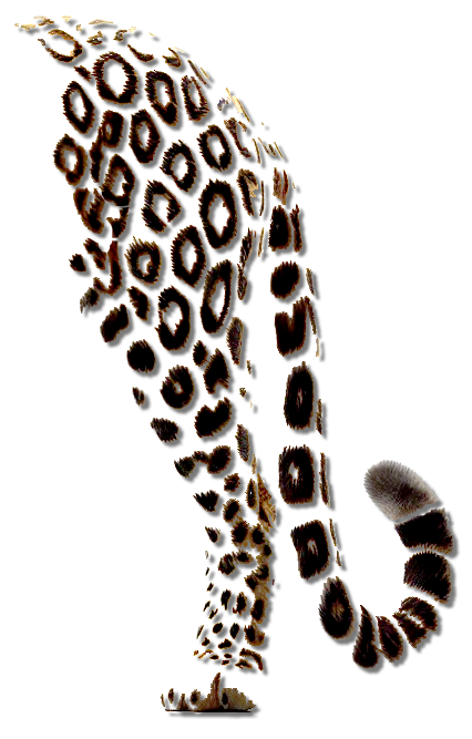 Y2_white's tweet photo. ( pan )ther
https://t.co/grVFb0ABBA
#panther #ther #pantherpattern #leopard #AY2JD #豹 #ヒョウ #ョウ #ヒョウ柄 #サー #art #design #animal #animalpattern #動物 #生き物 #デザイン #アート https://t.co/dBNogxLG3Q