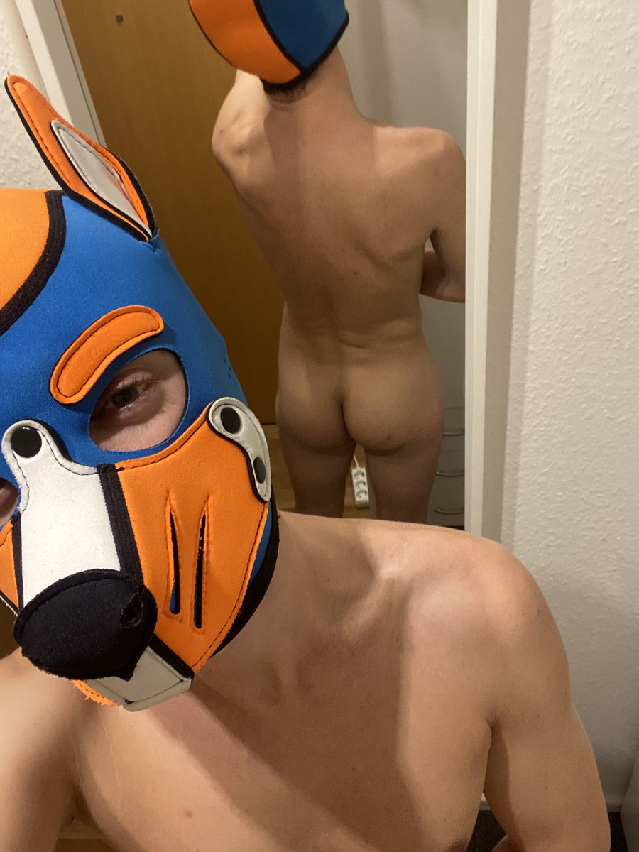 little_pup_Sky tweet media