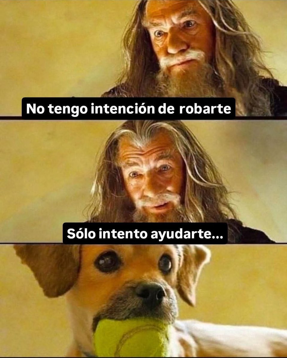 Objetivo: Jugar a la pelota con mi perrito

Obstáculo: Mi perrito