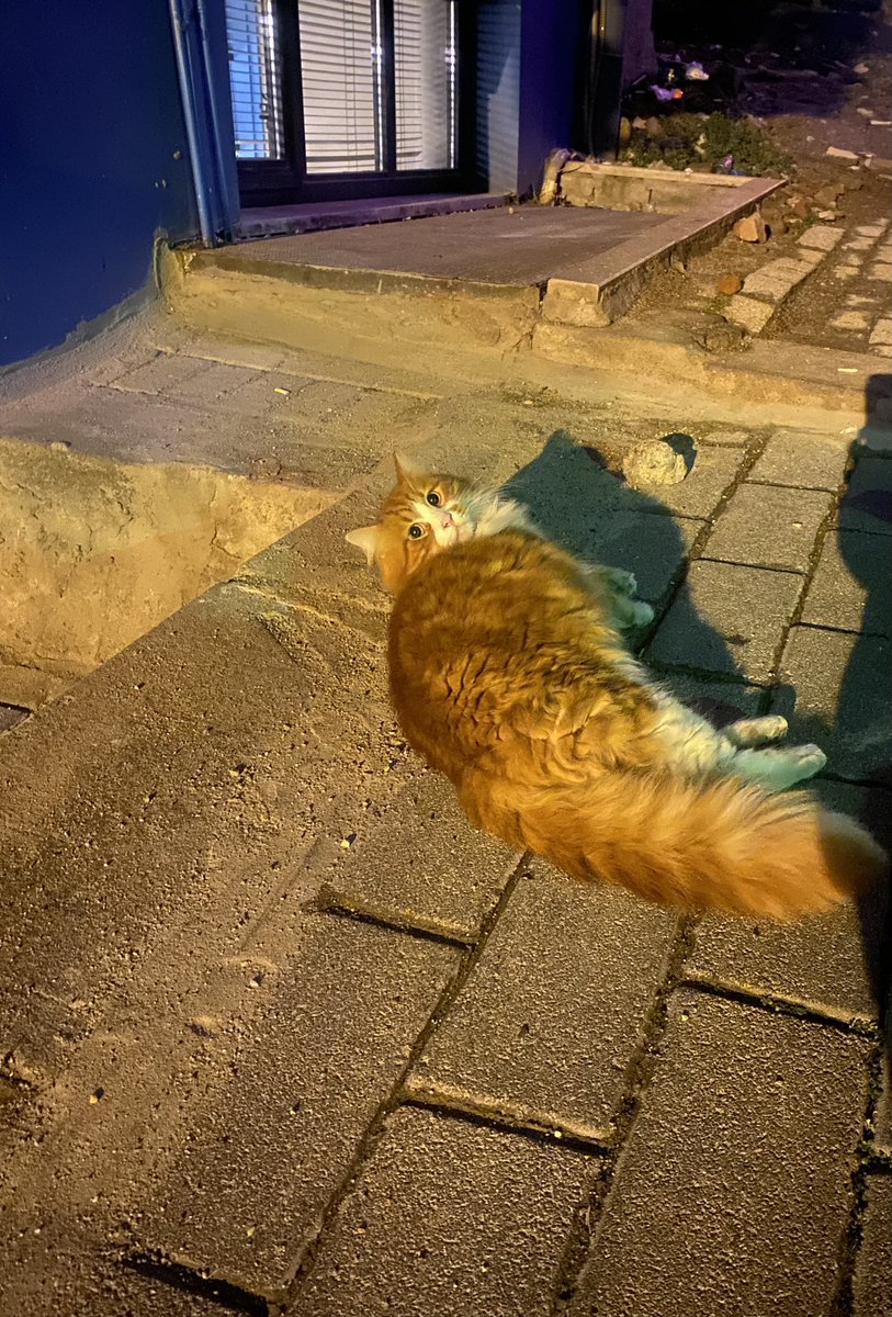 Cadiirman's tweet photo. “Sen buralara nirden geldin. Seni yaradan dadlı yaratmış.” diyen dedeye döndüm. https://t.co/IuBuZetghk