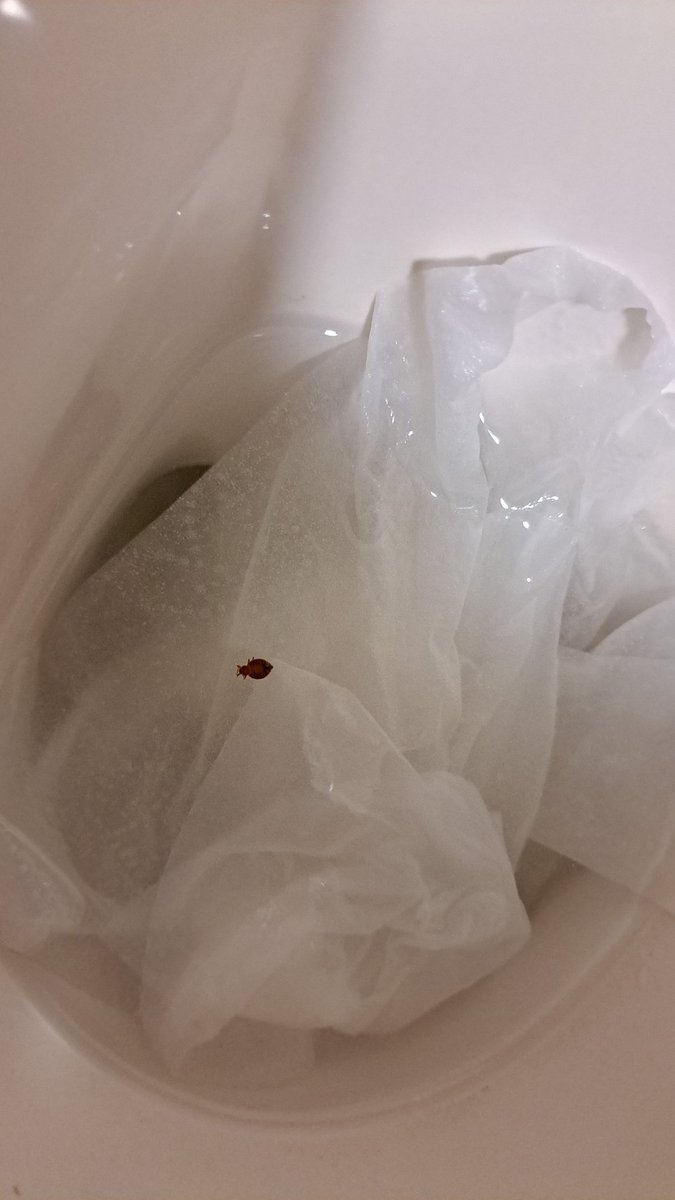 Noee29_'s tweet photo. Reseña Hospital Universitario San Francisco de Asís. UNA VERGÜENZA ABSOLUTA. 
https://t.co/TCfrOI68HN https://t.co/oKUM8d8D5x
