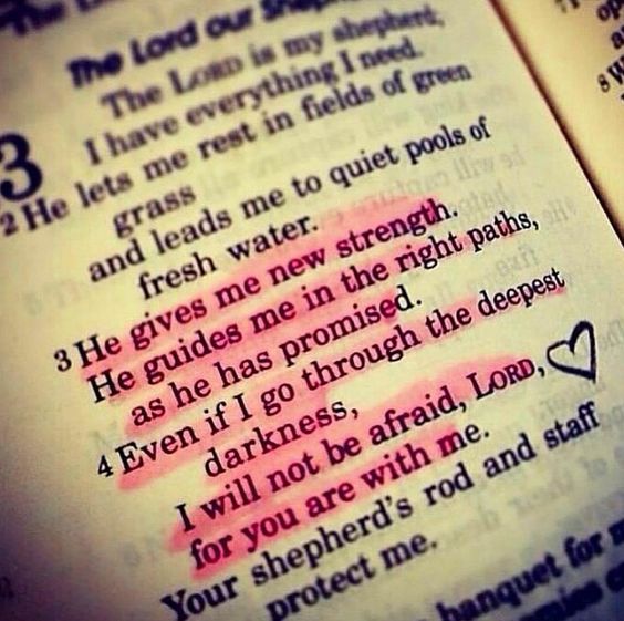 WalkwithGod7's tweet photo. https://t.co/CaaUkh9Cru