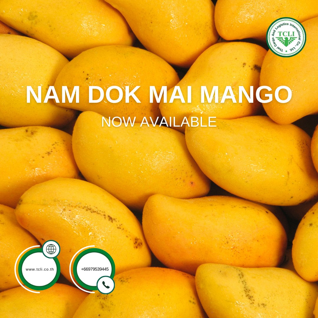 thaicargoveg's tweet image. 🍋 Discover the world’s finest mango: Nam Dok Mai! Velvety, sweet, &amp;amp; aromatic—perfect for luxury menus or premium retail. DM for bulk sourcing! 🌸✨ #NamDokMai #ThaiMango #ExoticFlavors