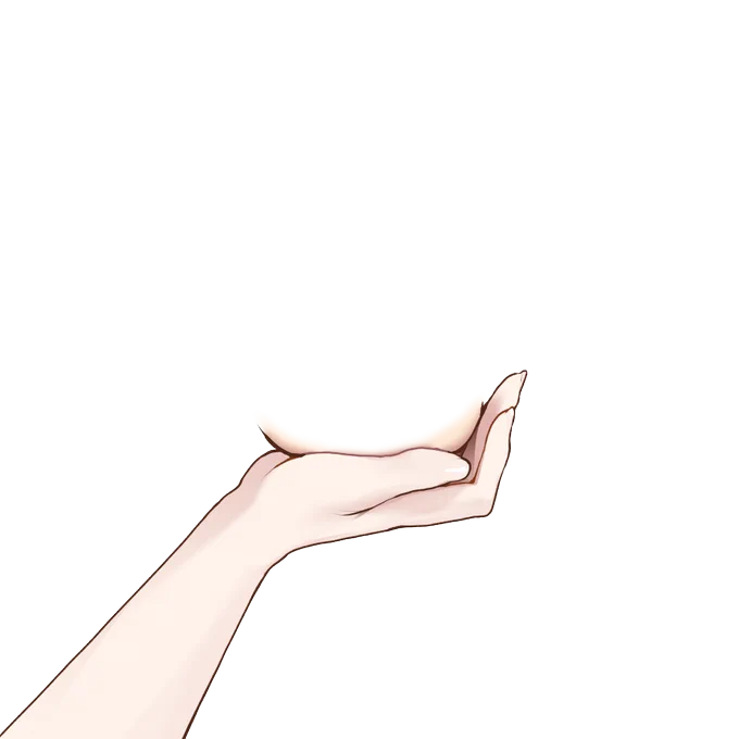 あごたぷ用にどうぞ 