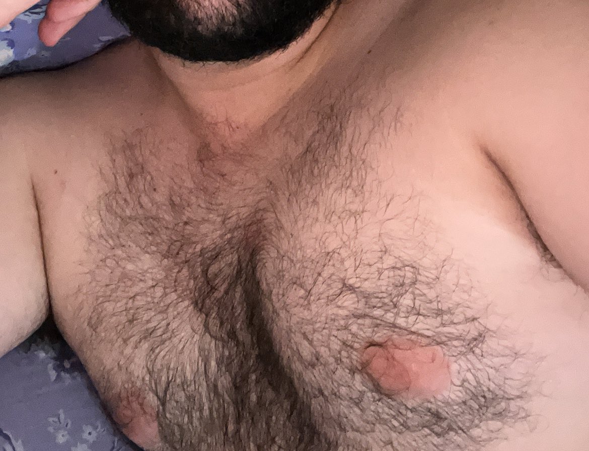 🐻