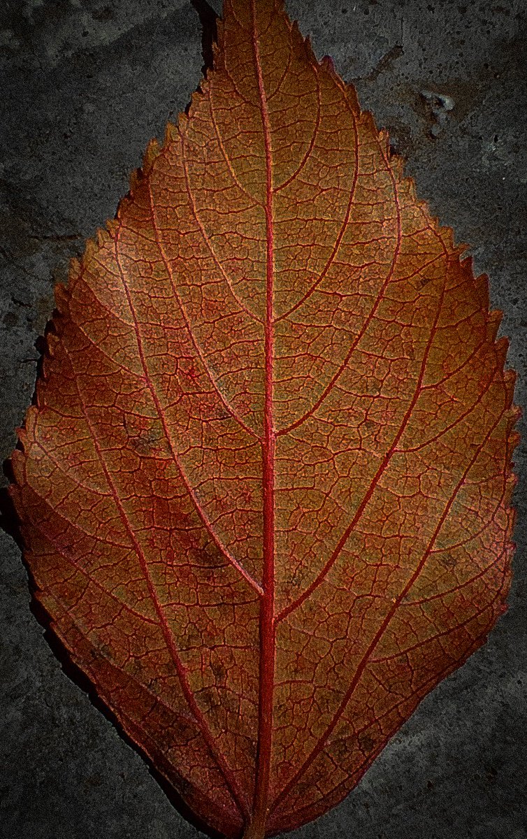 void_harshal's tweet image. 