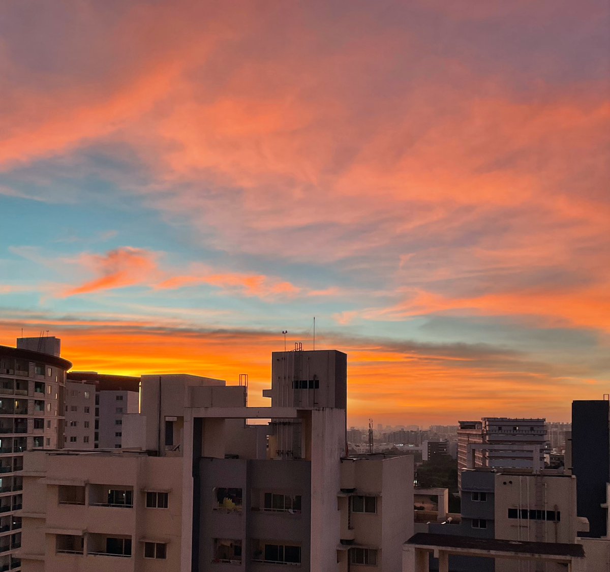 Rashmi 🌻 tweet media