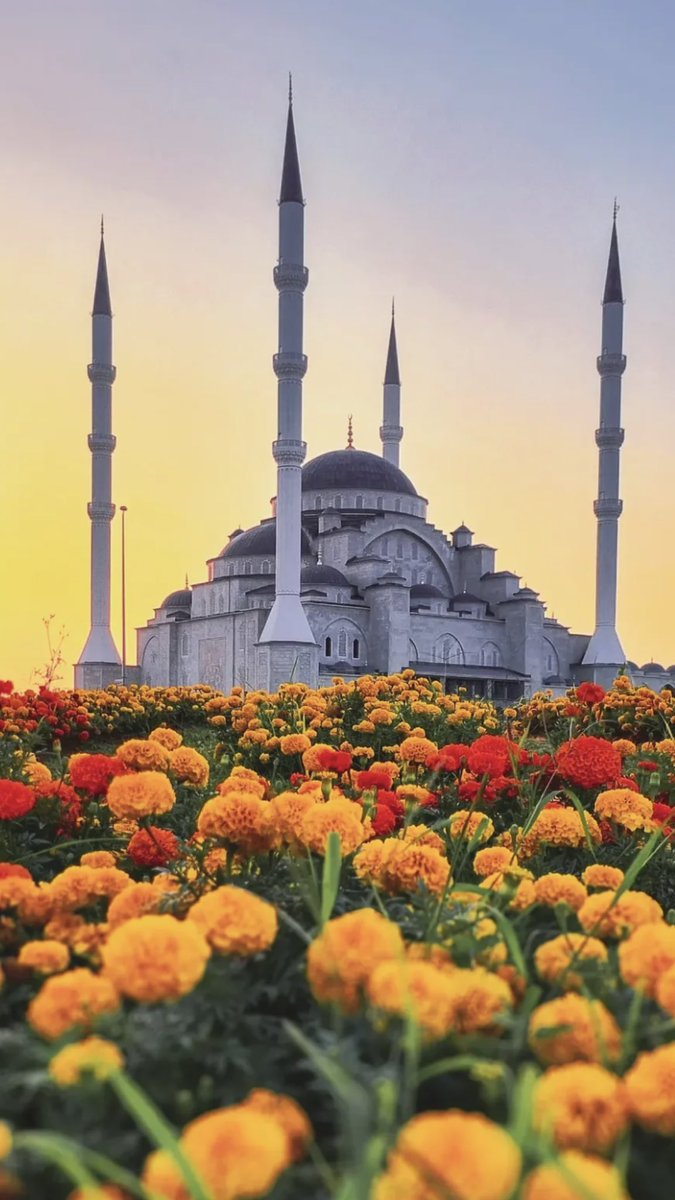 EyllAHN3's tweet photo. “Her imtihanın sonunda mutlaka bir mükafat vardır; tüm mesele sabır ve tahammülde.” #mirackandili https://t.co/gjx09MSG9N