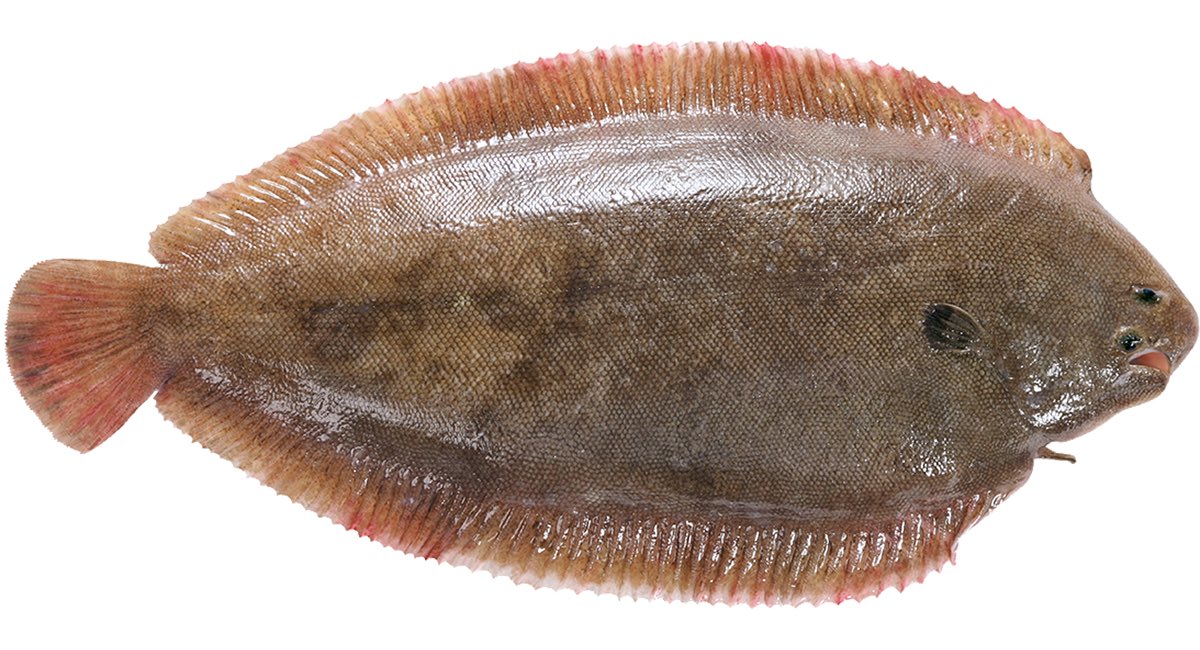 c⚠️ (@daslebeneinesgs) on Twitter photo 