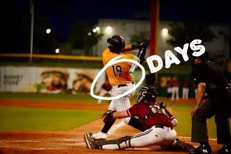 democracyrock's tweet photo. It is @Matthew_Russo23 days until @SouthernMissBSB Opening Day 02/14/2025.
In 2024, The Bull hit .315 with 30 runs on 47 hits, 6 HR and 38 RBIs.
πππ¦
βΎοΈ #SMTTT #19Days #BullIsBack https://t.co/r30Hj50H6T
