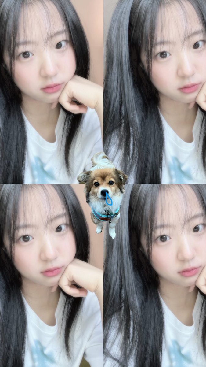 sybwave's tweet photo. 윱보싶 https://t.co/yWOxpCUn6x