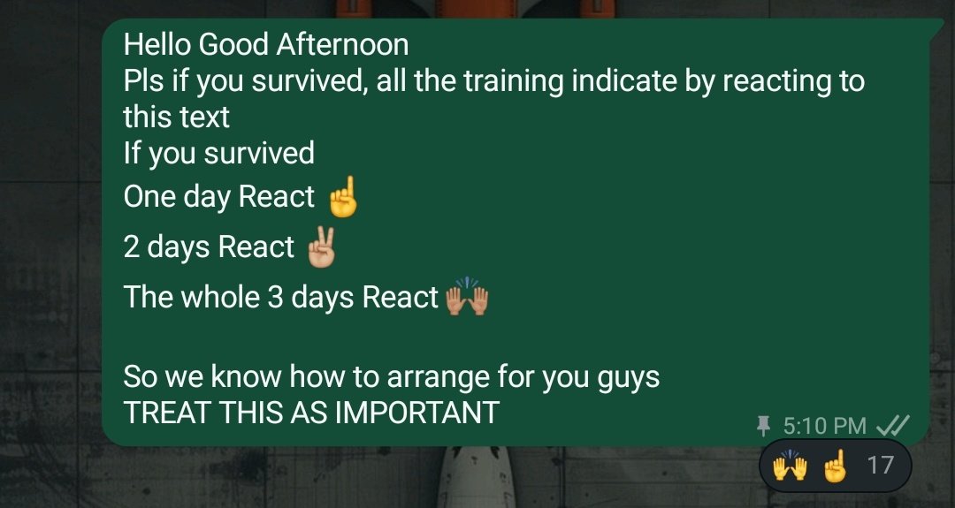 The first set of ambassadors survived the training! After completing the training, it's time to put them to work.