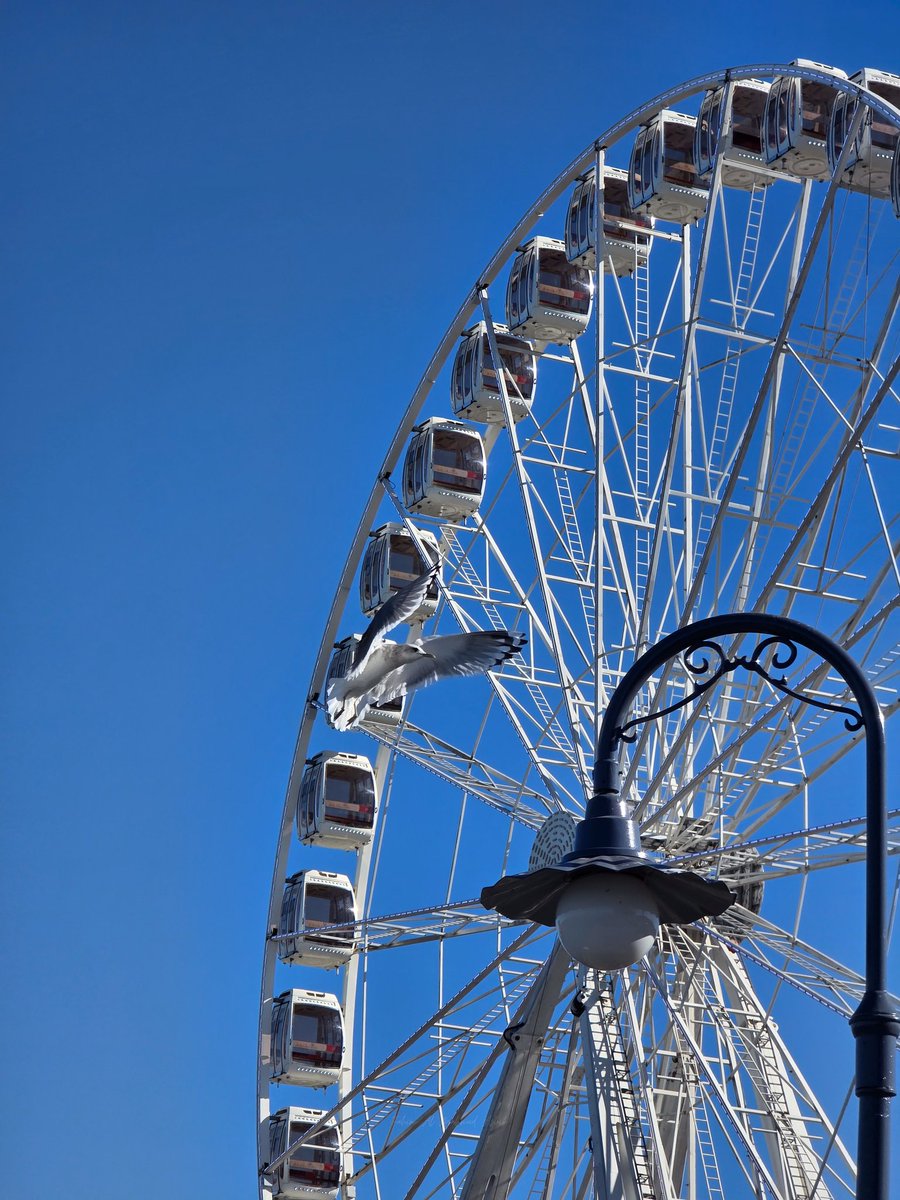 سلطان الفردان tweet media