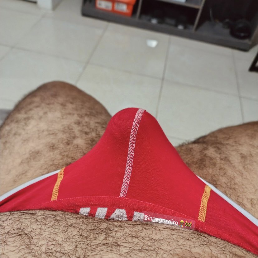 Inge Gordito 72k 🐻 tweet media