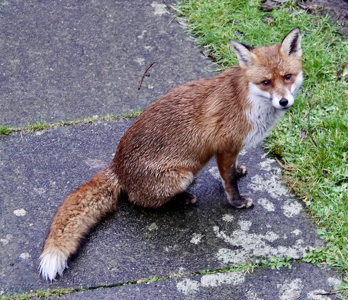 Annette parish tweet media