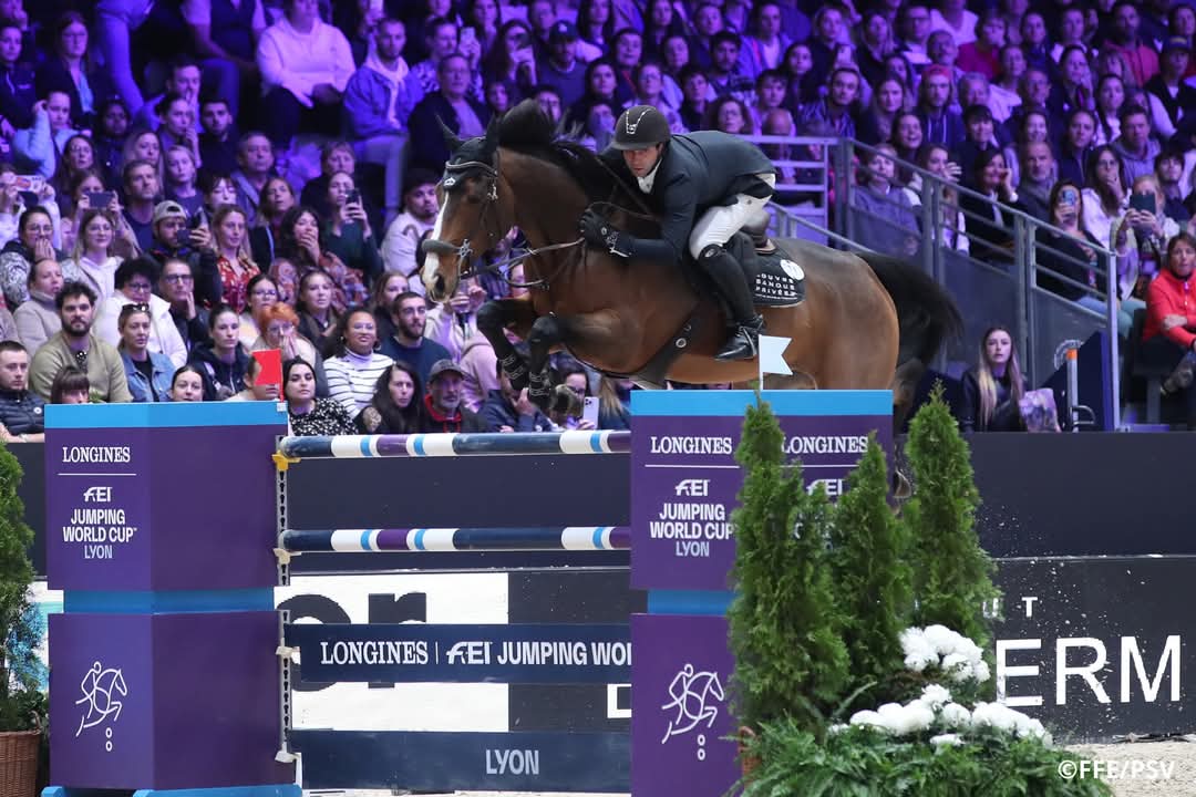#jumping Julien Anquetin &amp; Blood Diamond du Pont terminent 7e du Grand Prix Coupe du monde d'Amsterdam 🇳🇱👏 Le Normand se rapproche de la finale du circuit indoor FEI, pour laquelle Kevin Staut et Julien Epaillard sont déjà qualifiés 🇨🇵

👉 Tout savoir : ffe.com/actualites/jul…