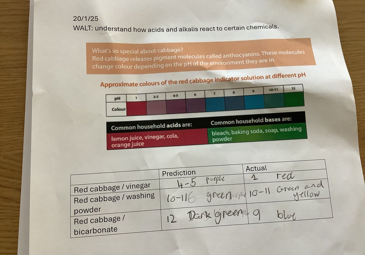fjeffrey76's tweet photo. My P6 class carried out an exciting experiment last week, using cabbage water as a pH indicator to test the effects of different household acids and alkalis. #STEM https://t.co/Lw95p6ssNS