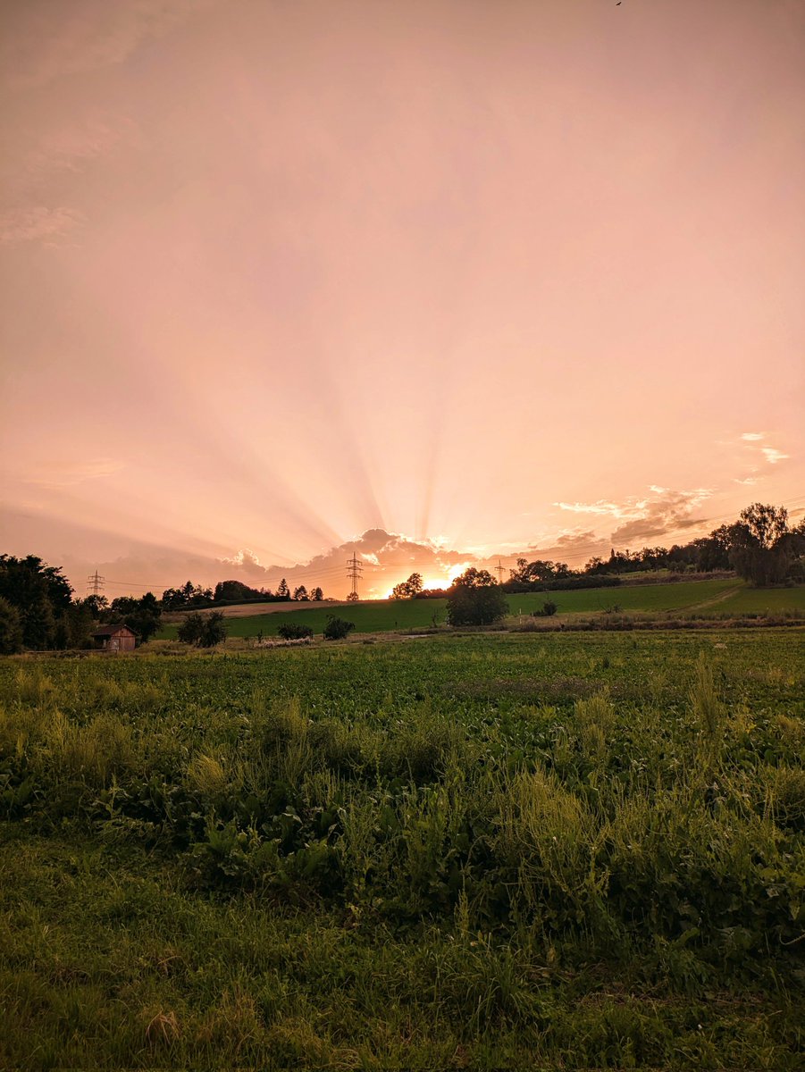 Rabbimiz, bize Miraç hediyeleriyle yaşamayı nasip eyle. Bu hediyeleri miracımız kıl. Bu mübarek geceyi, çağımızın karanlık dehlizlerinden yükselişimize vesile eyle.