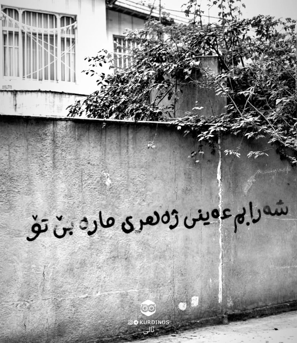 Kurdi_nus's tweet photo. شەرابم عەینی ژەهری‌مارە بێ تۆ... https://t.co/Q8EfG5moof