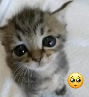 Luciana Silva🇦🇷 tweet media