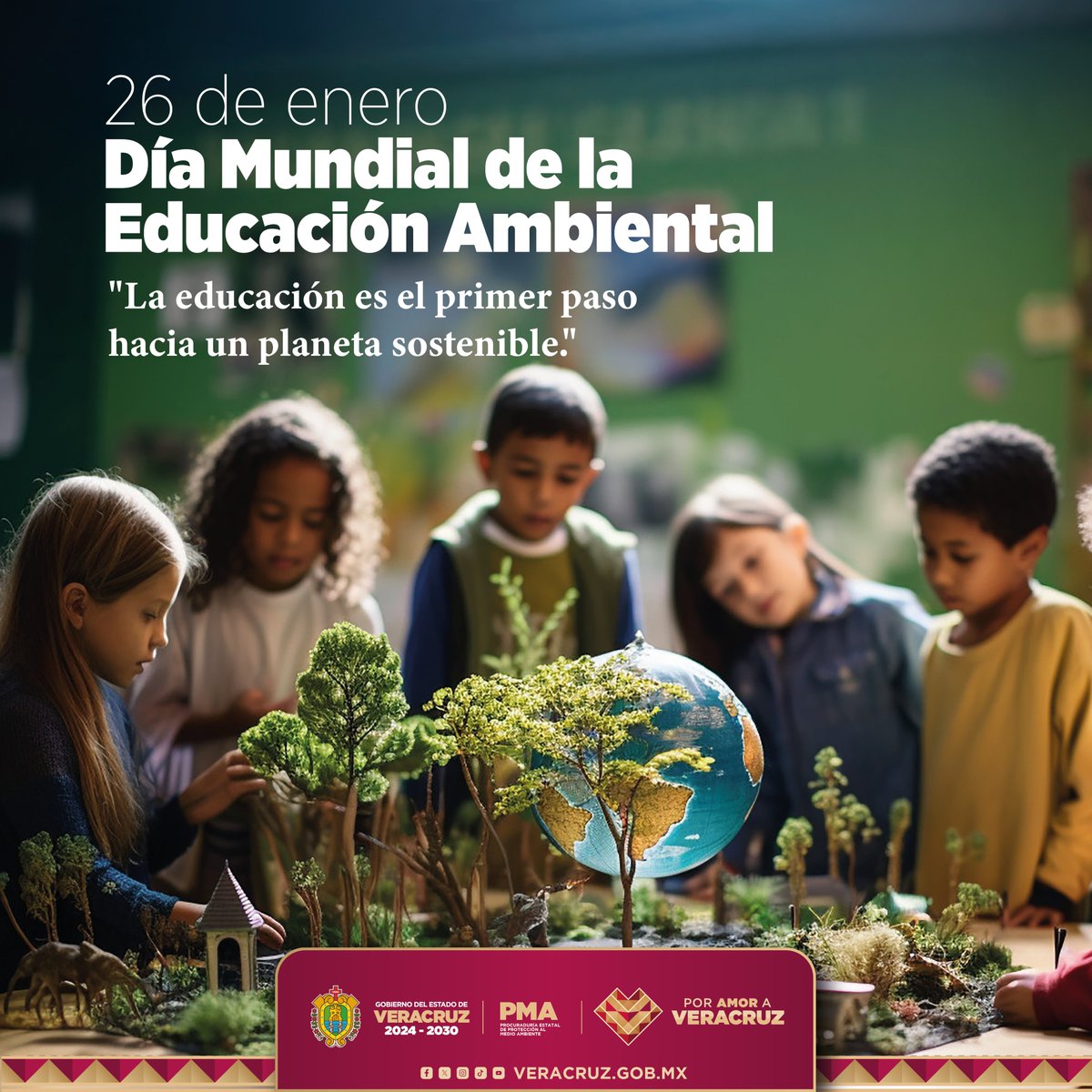 PMA Veracruz tweet media